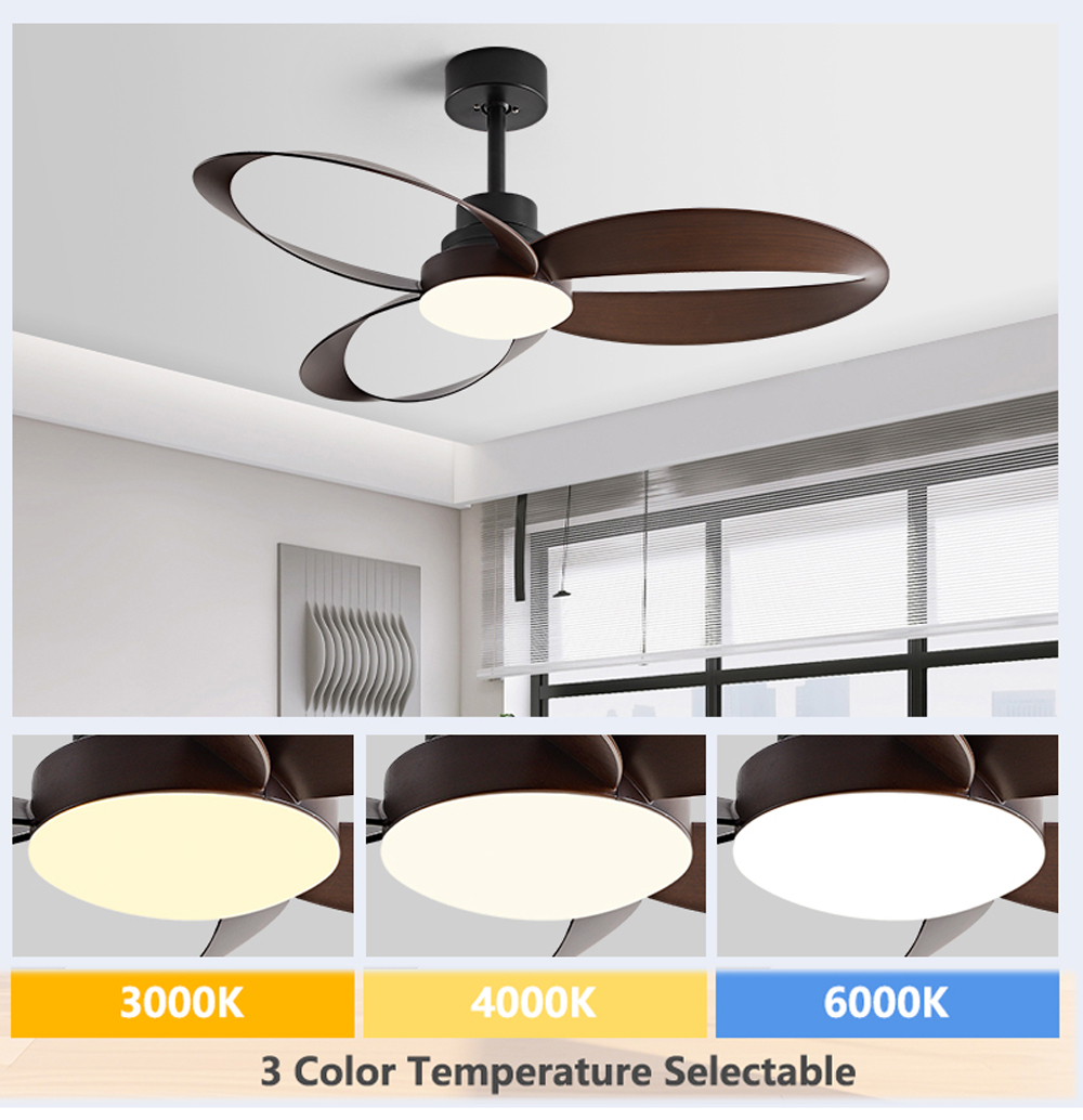 Ventilatore da Soffitto 42/52  - Photography Coffee recensione e prezzo